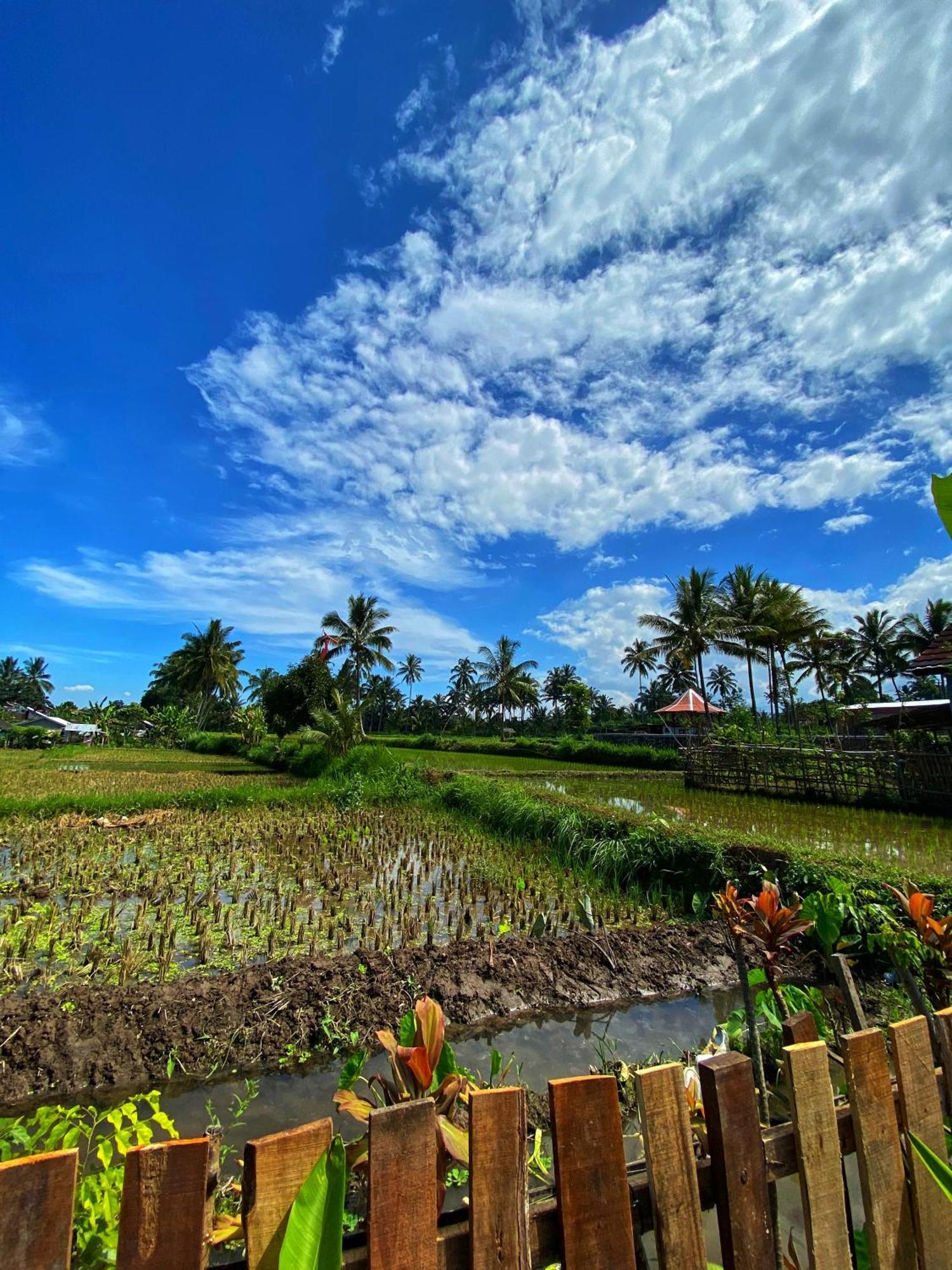 Alfarizi Homestay 特特巴图 客房 照片