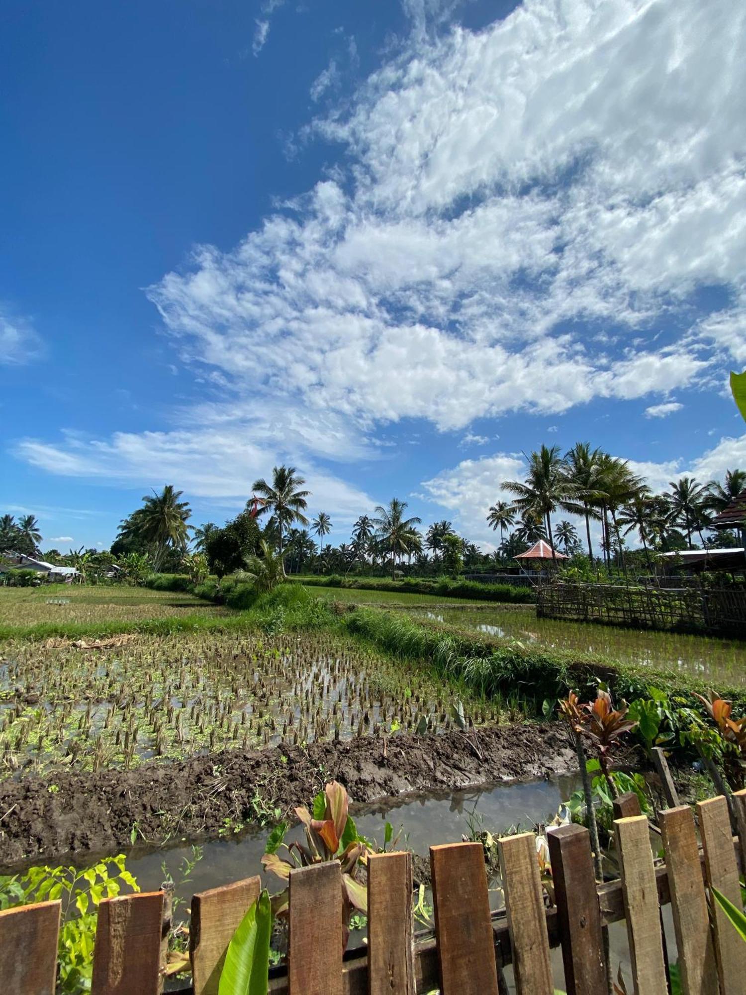 Alfarizi Homestay 特特巴图 外观 照片