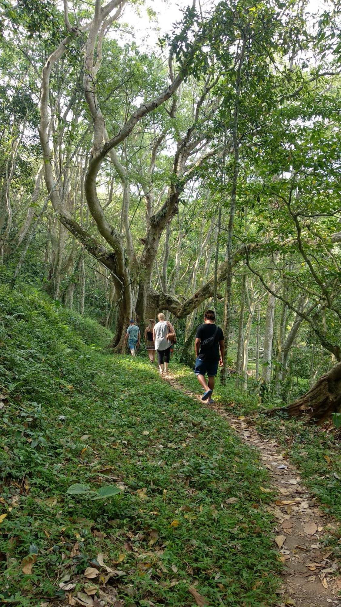 Alfarizi Homestay 特特巴图 外观 照片