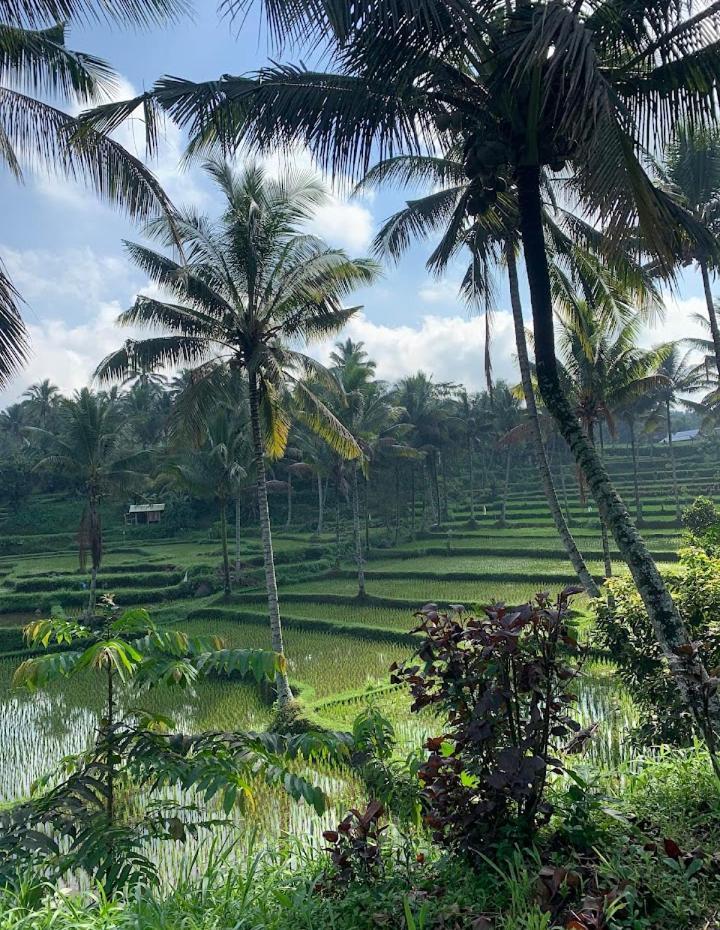 Alfarizi Homestay 特特巴图 外观 照片