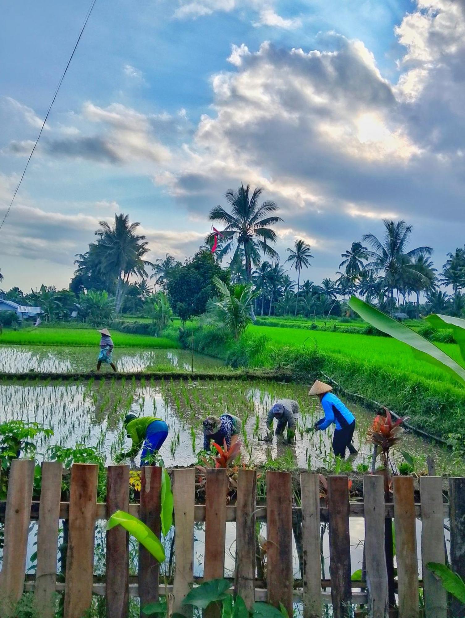 Alfarizi Homestay 特特巴图 外观 照片